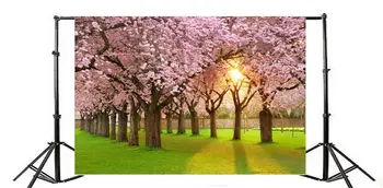 Фон для фотосъемки Весенние цветы вишня Цветочный природный пейзаж Солнце Зеленая трава Газон Ric Romantic