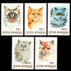 Почтовые марки Румынии, 5 шт./компл., 1993, Марки с кошками, Печать с животными, Высокое качество, Новая марка, Коллекция в хорошем состоянии, MNH